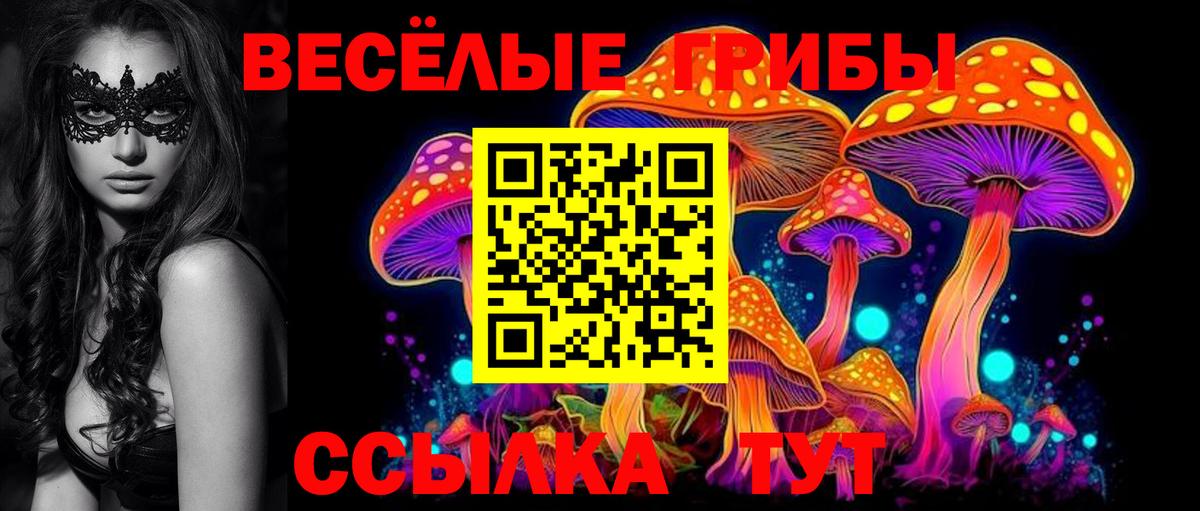 Галлюциногенные грибы MAGIC MUSHROOMS  Вход с VPN  Тихвин 